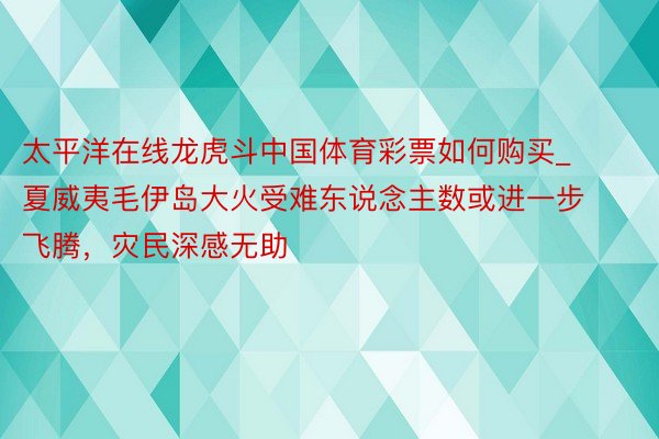 太平洋在线龙虎斗中国体育彩票如何购买_夏威夷毛伊岛大火受难东说念主数或进一步飞腾，灾民深感无助