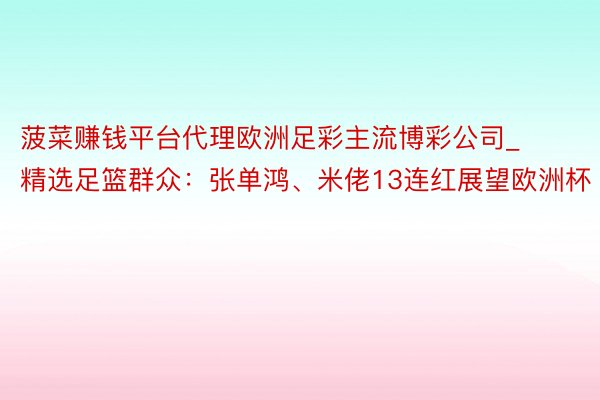 菠菜赚钱平台代理欧洲足彩主流博彩公司_精选足篮群众：张单鸿、