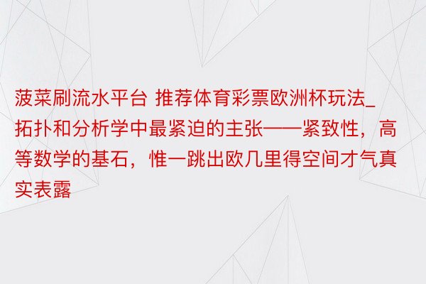 菠菜刷流水平台 推荐体育彩票欧洲杯玩法_拓扑和分析学中最紧迫的主张——紧致性，高等数学的基石，惟一跳出欧几里得空间才气真实表露