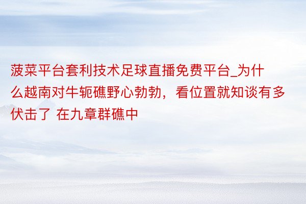 菠菜平台套利技术足球直播免费平台_为什么越南对牛轭礁野心勃勃，看位置就知谈有多伏击了 在九章群礁中